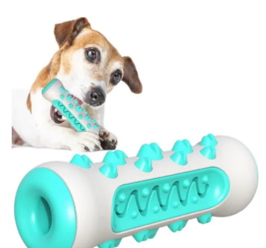 Chew 'N Clean Dog Toy